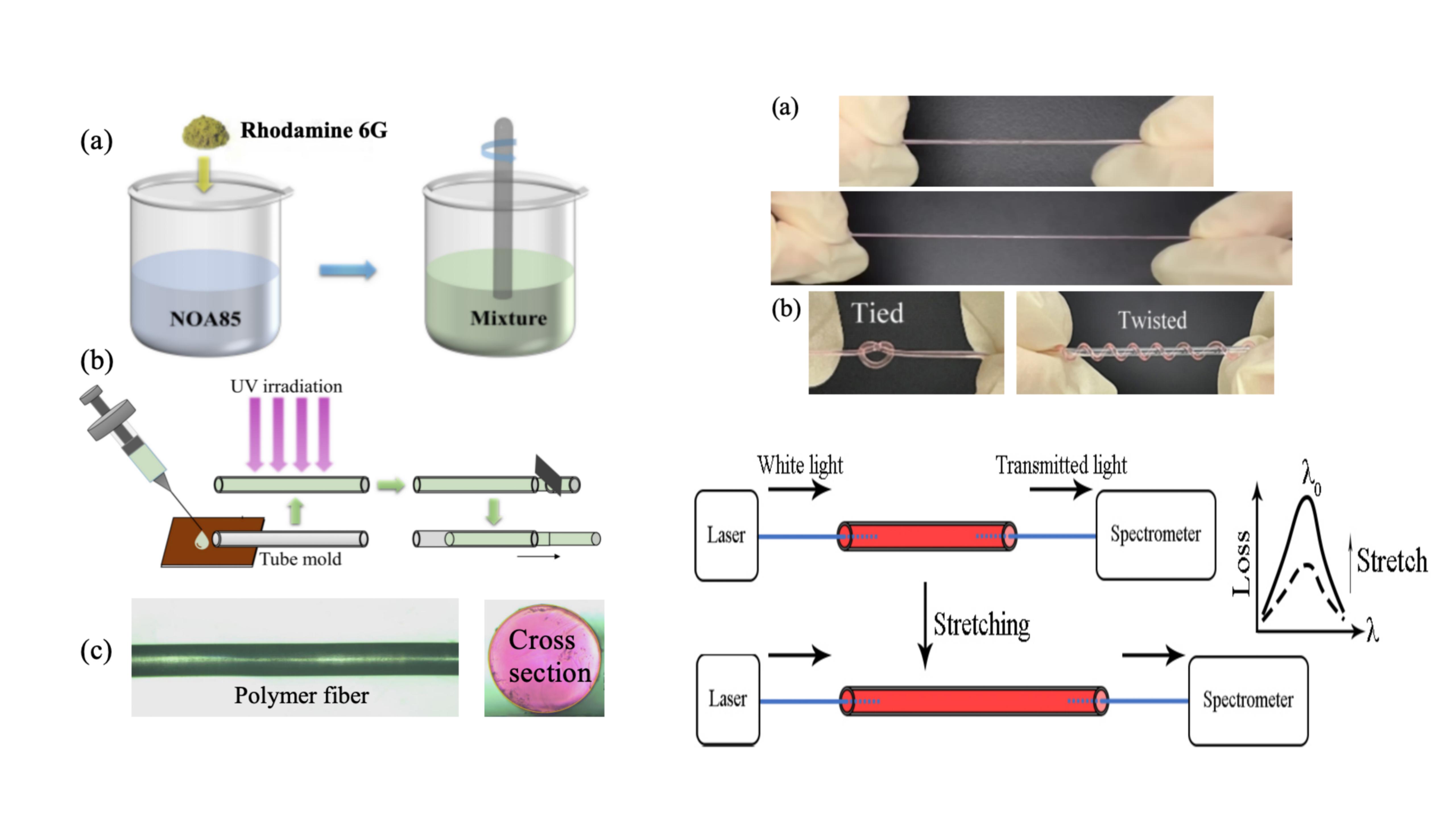 A Dye-doped Polymer Fiber Based Strain Sensor