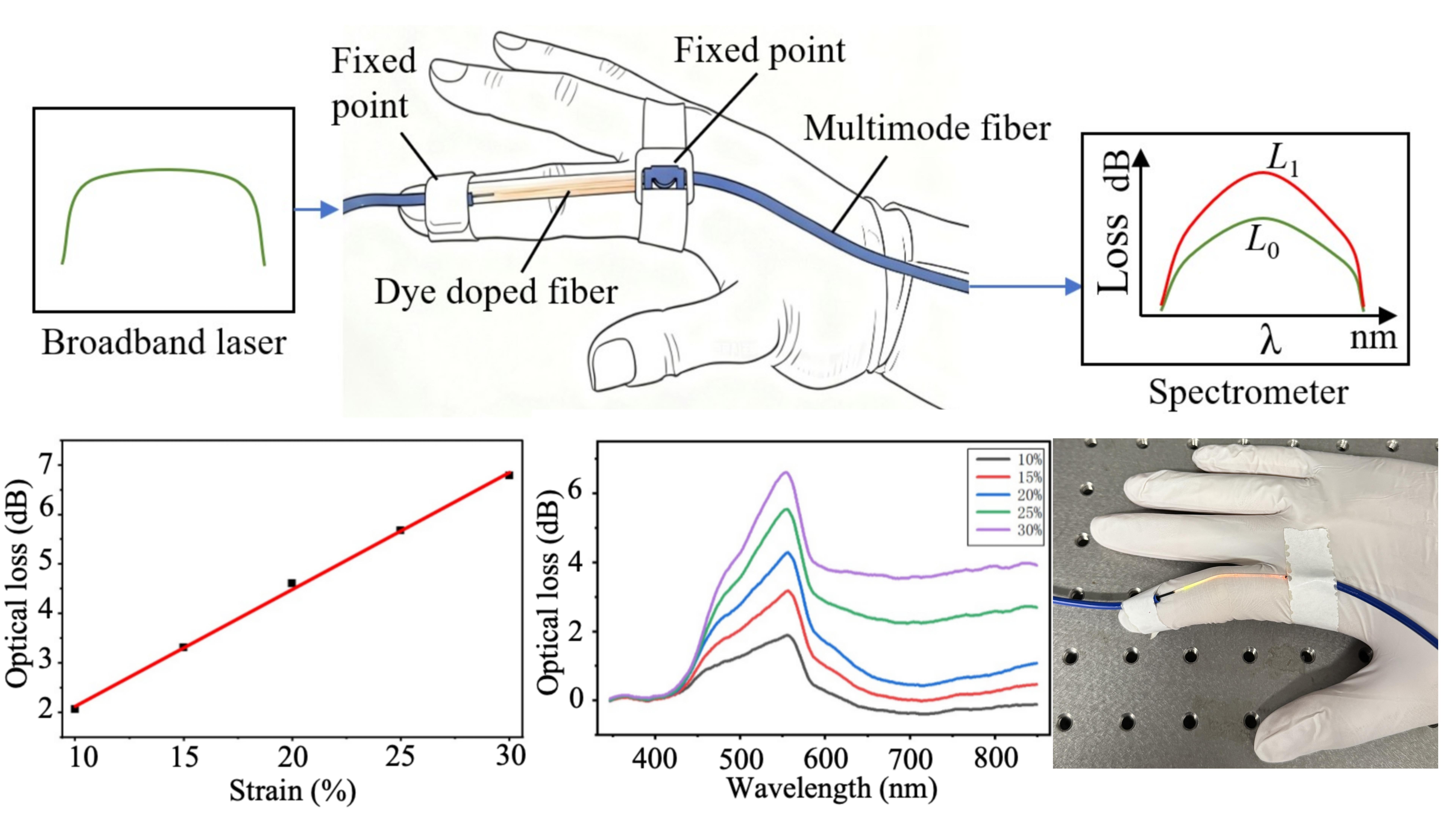 A dye doped polymer fiber based optical strain sensor